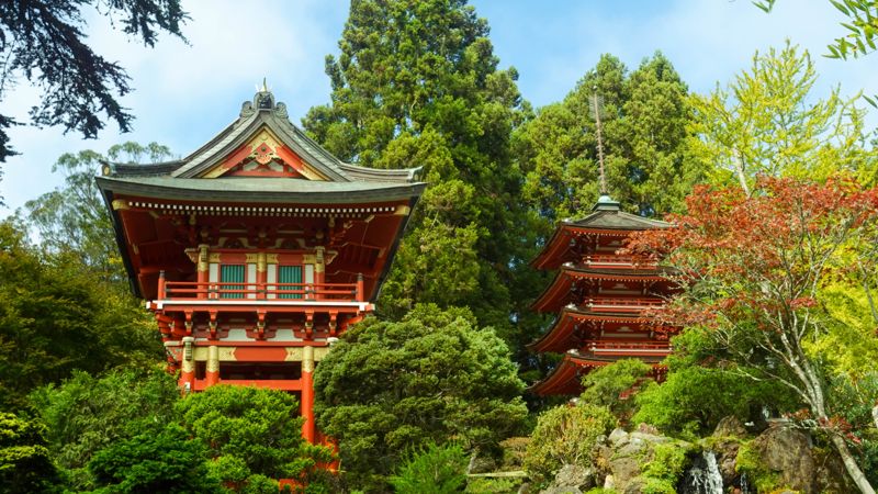 Japanese Tea Garden