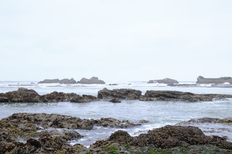 Tidepool